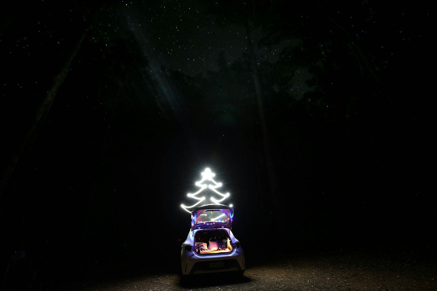 沈丹萍最新動態(tài)，藝術(shù)之光的璀璨綻放