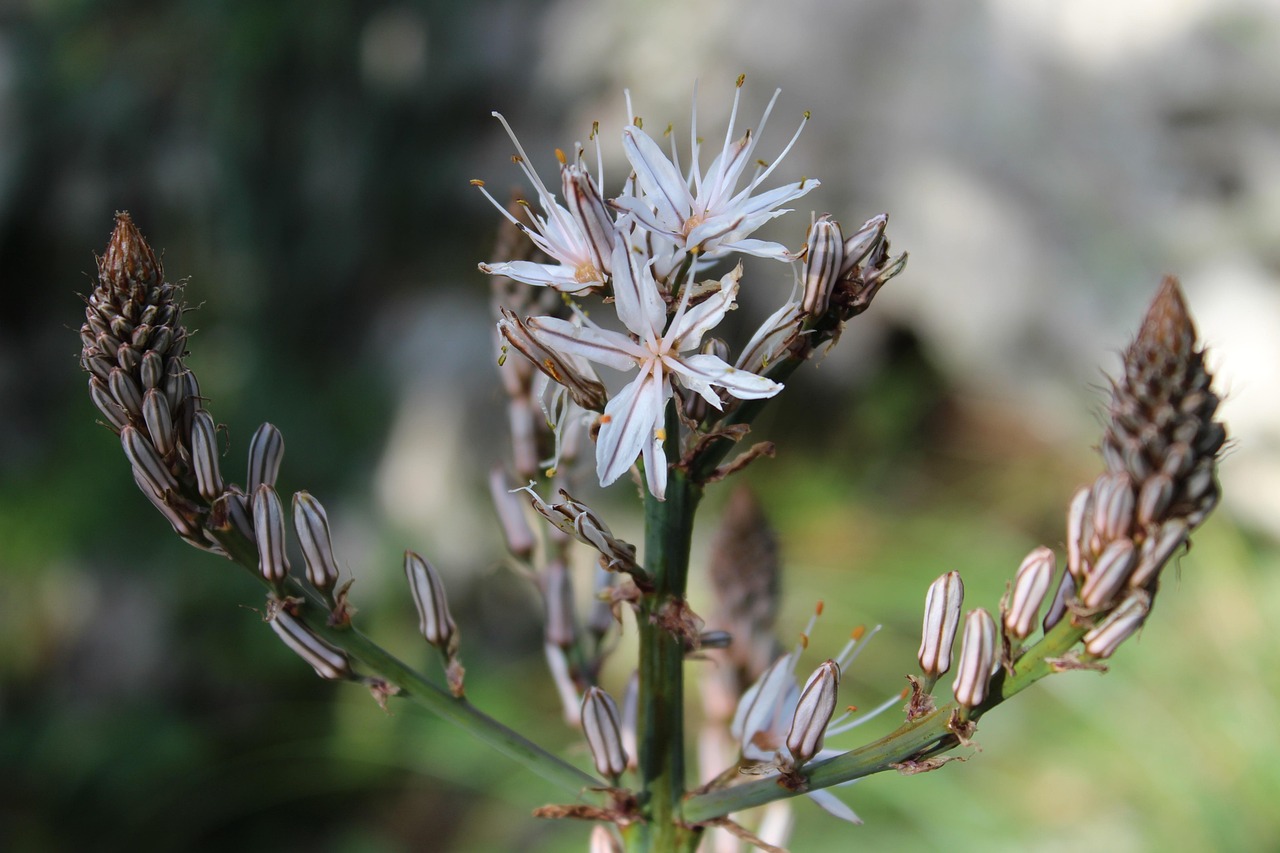 上海疫情最新動(dòng)態(tài)，挑戰(zhàn)與應(yīng)對(duì)策略