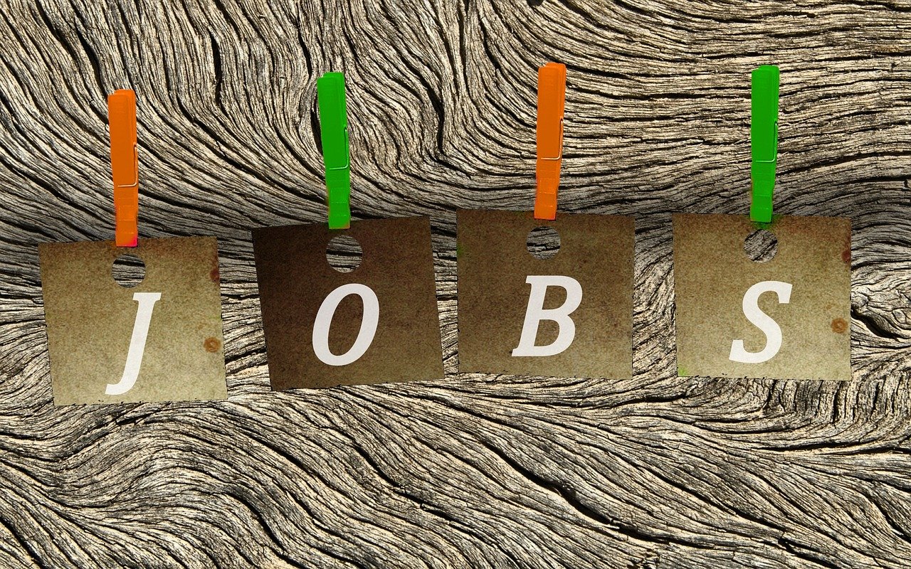 修武最新職位招聘動態(tài)與深度解析速遞