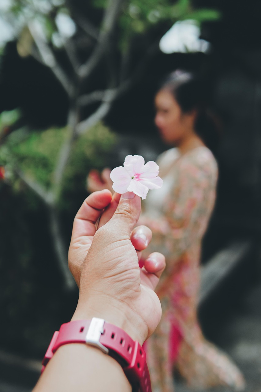 校園美女風(fēng)采，青春之花綻放每個(gè)角落