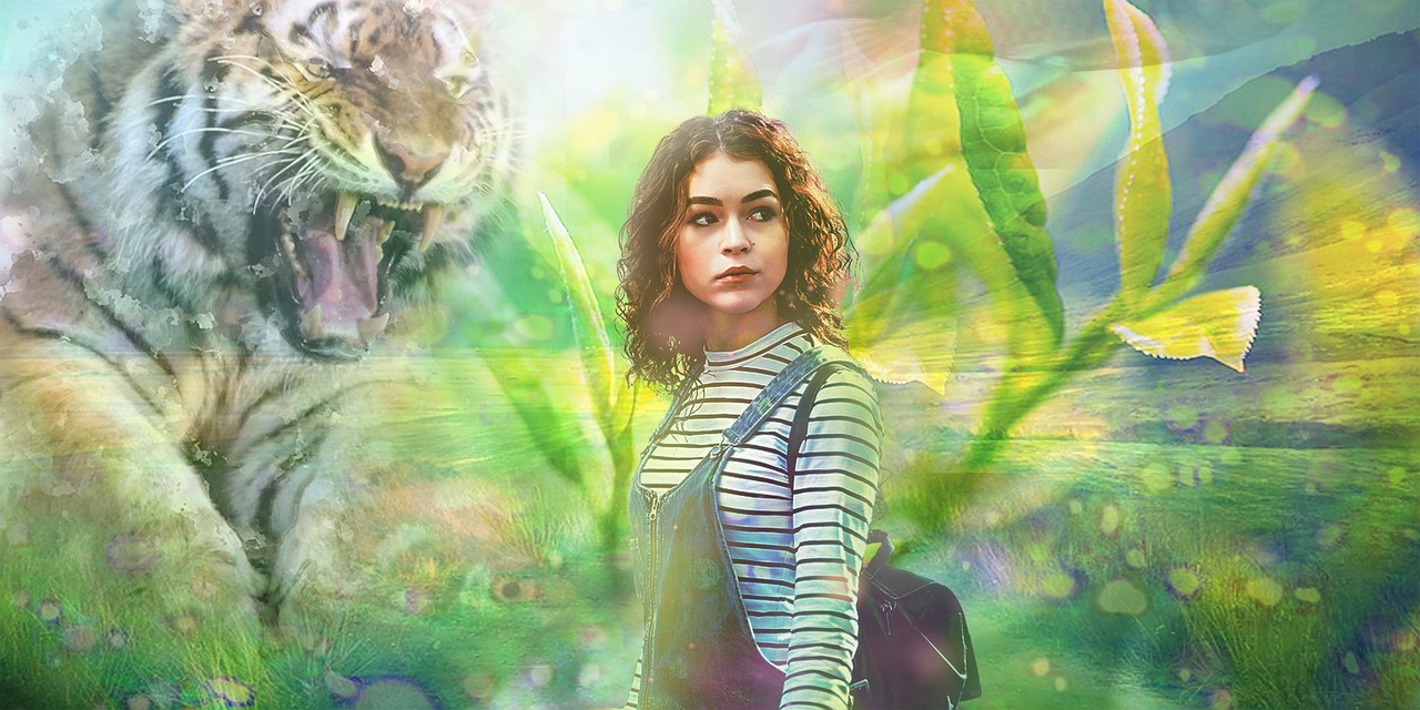 探索電影魅力，銀幕背后的故事之書