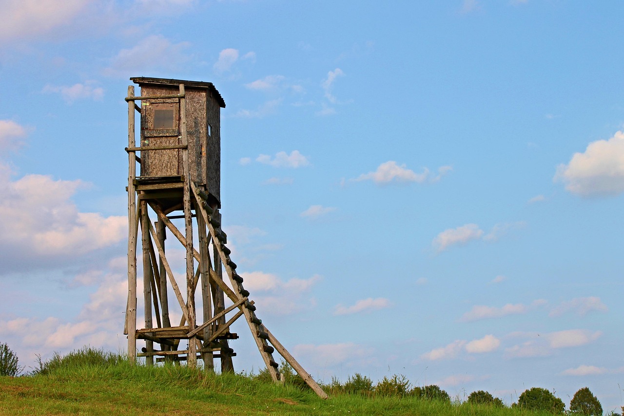 長沙白箬鋪鎮(zhèn)未來繁榮藍圖揭秘，最新規(guī)劃公布，展望美好發(fā)展遠景