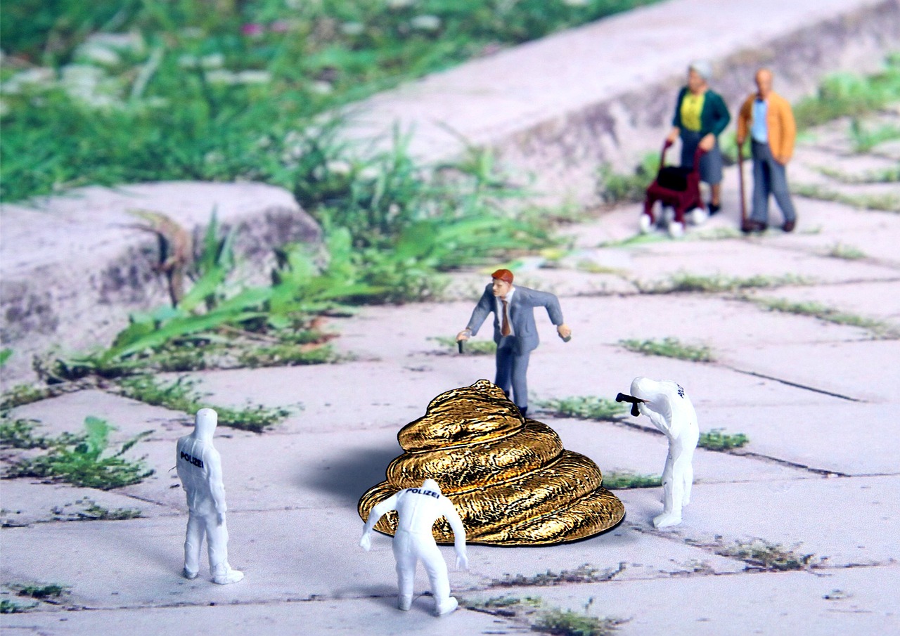 舜船引領(lǐng)創(chuàng)新，塑造未來航海新篇章，最新動態(tài)揭秘