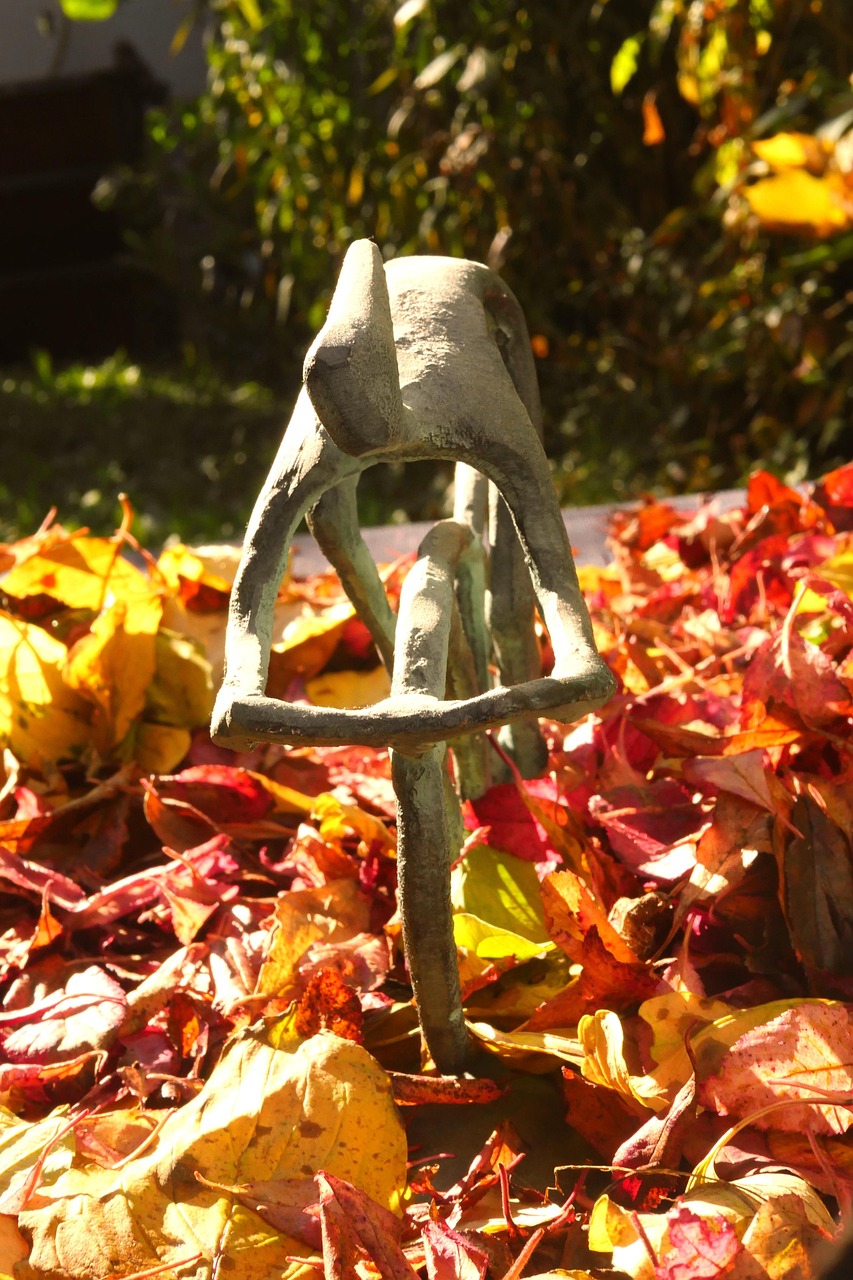 全球視角下的疫情動態(tài)更新情況