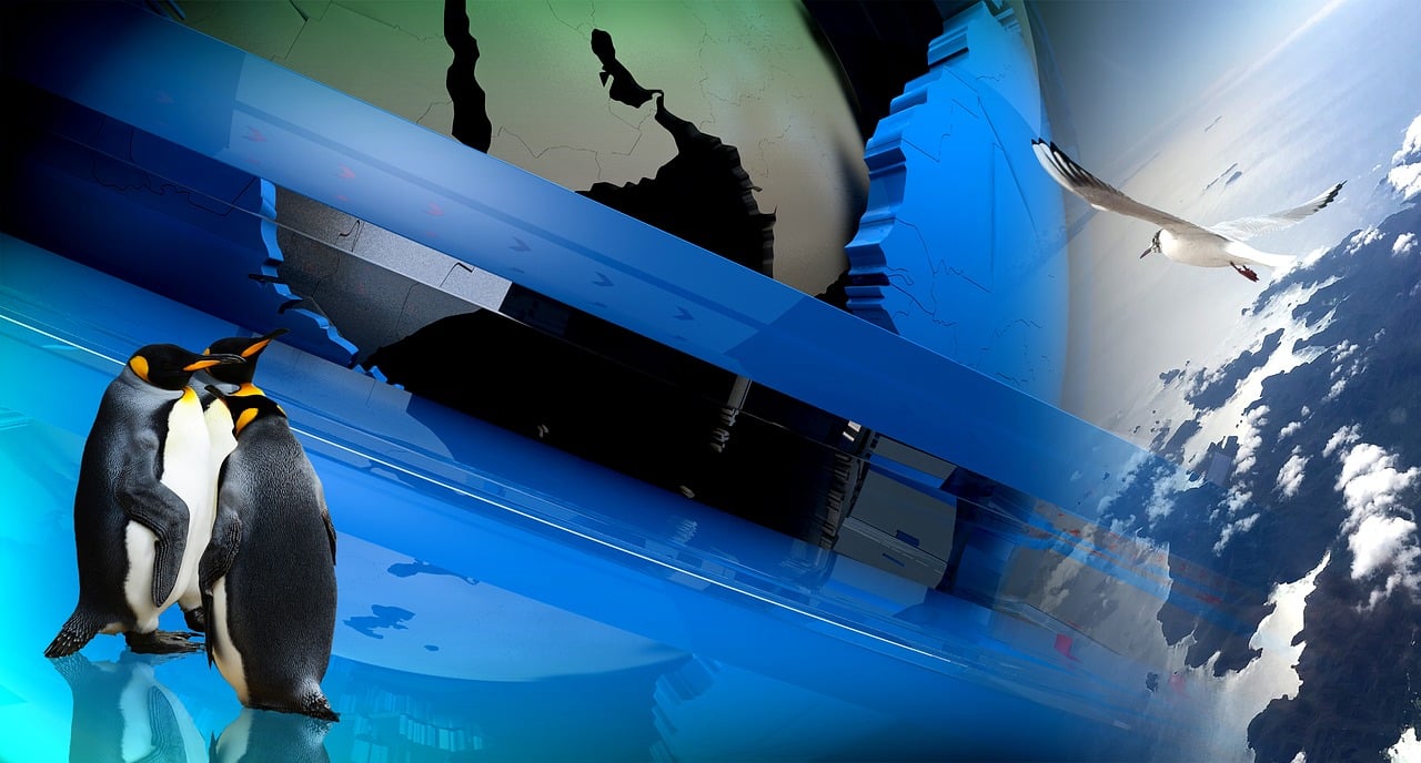 最新動漫精選，熱血與奇幻的世界探索