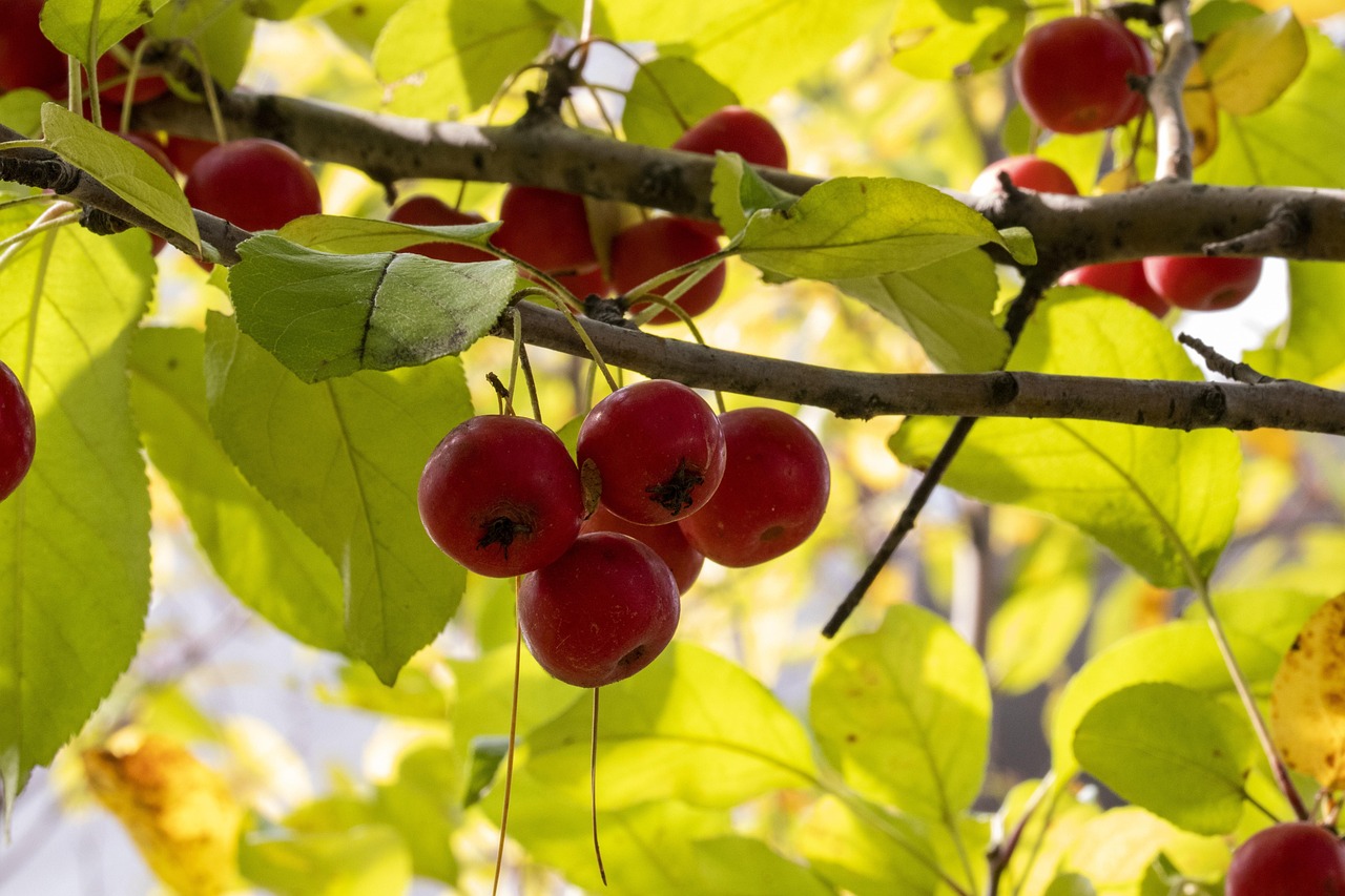 女排巨星徐云麗最新動態(tài)揭秘