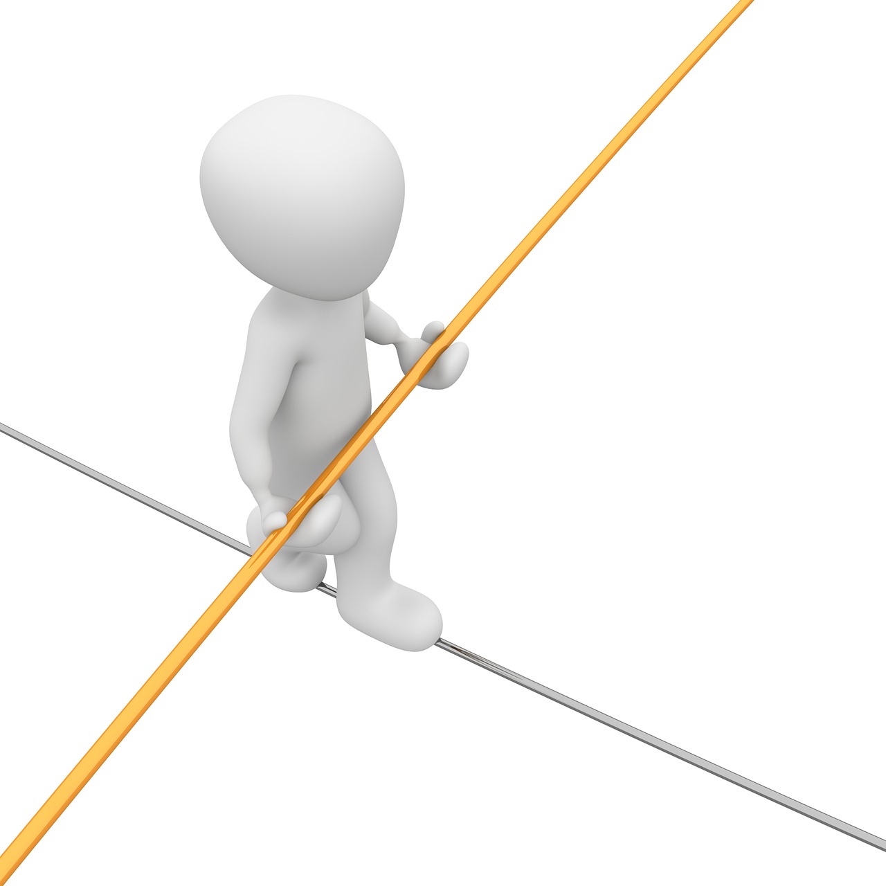 麗閑莊最新動態(tài)，展現(xiàn)全新魅力與進(jìn)展