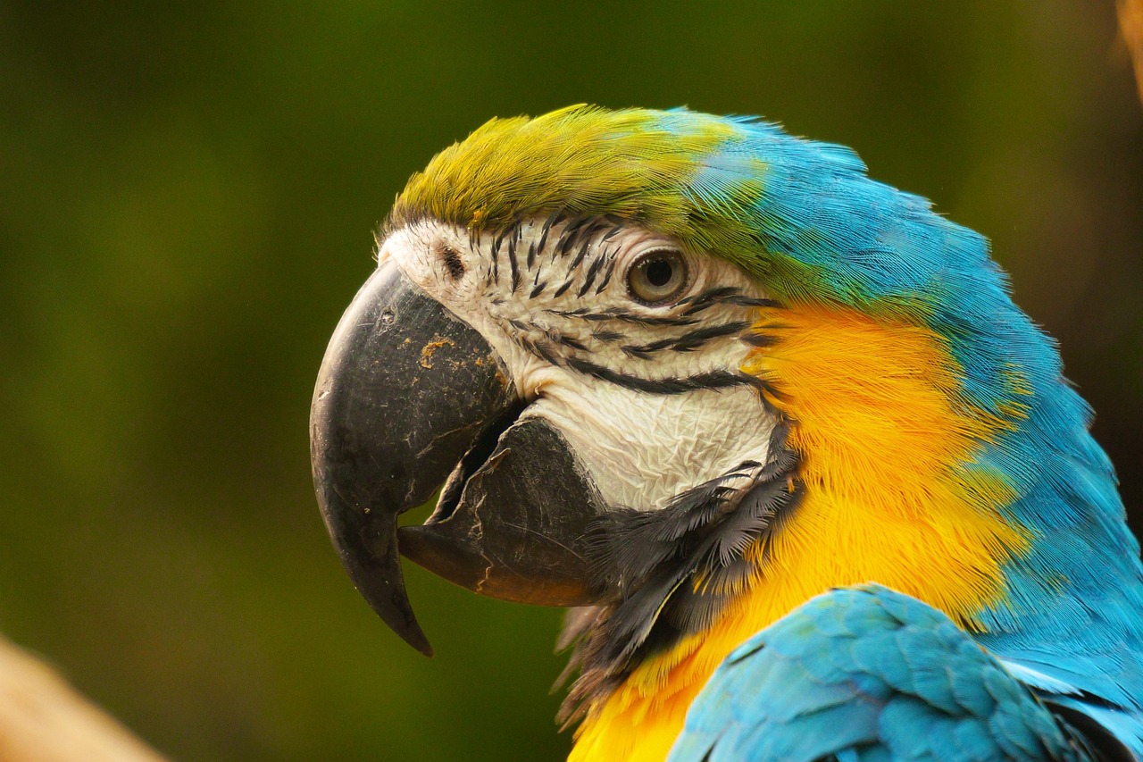 液晶電視與激光電視對(duì)比，技術(shù)、性能與體驗(yàn)的綜合比較，哪個(gè)更好？