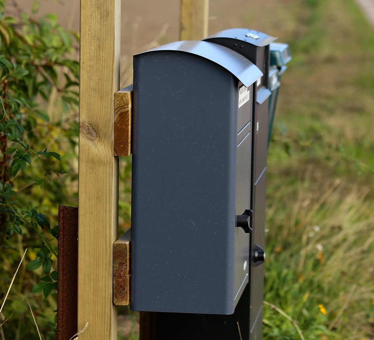 精選流行印記，2016年QQ頭像回顧