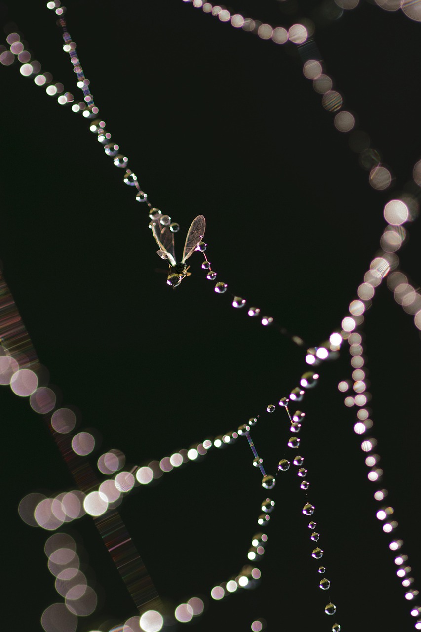 黃水晶價(jià)格解析，市場(chǎng)走勢(shì)、影響因素與購(gòu)買建議