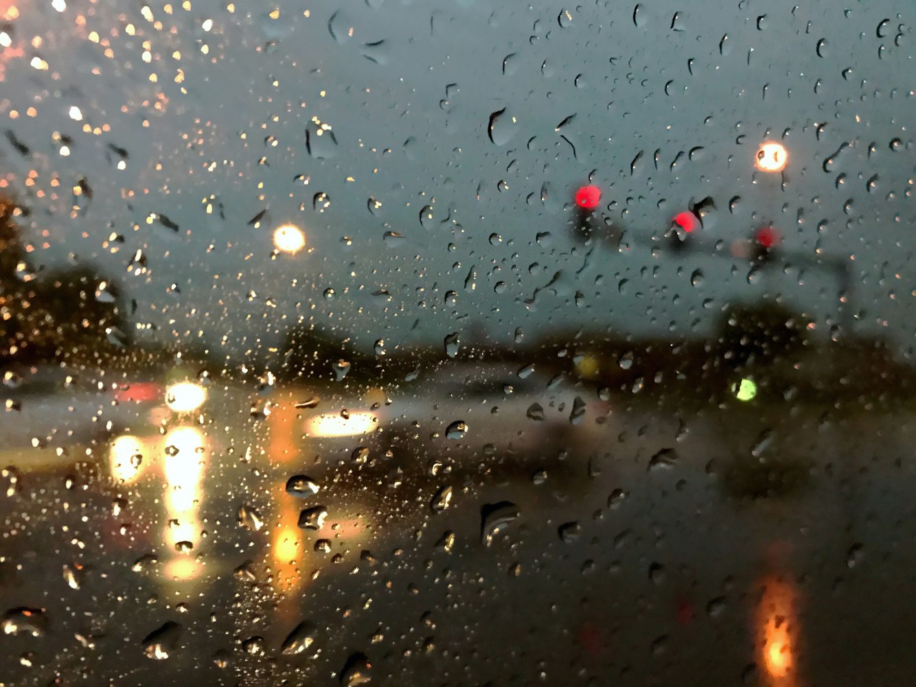 沙小僧最新動(dòng)態(tài)，探索未知，勇往直前