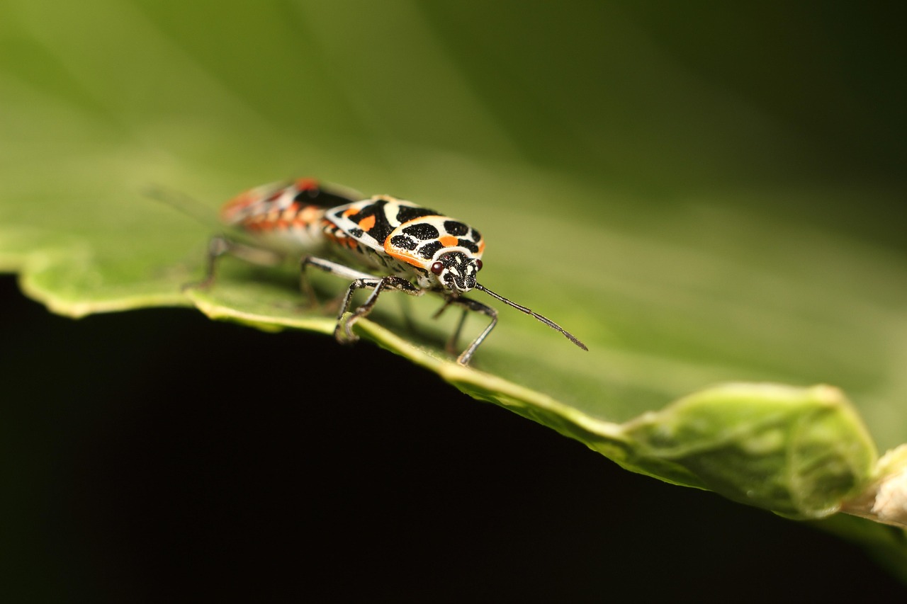 黃島實時天氣動態(tài)查詢，助力生活規(guī)劃與安排