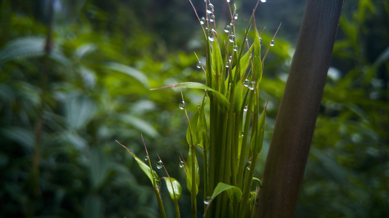 最新疫情跨省動(dòng)態(tài)及全國(guó)疫情防控形勢(shì)分析報(bào)告