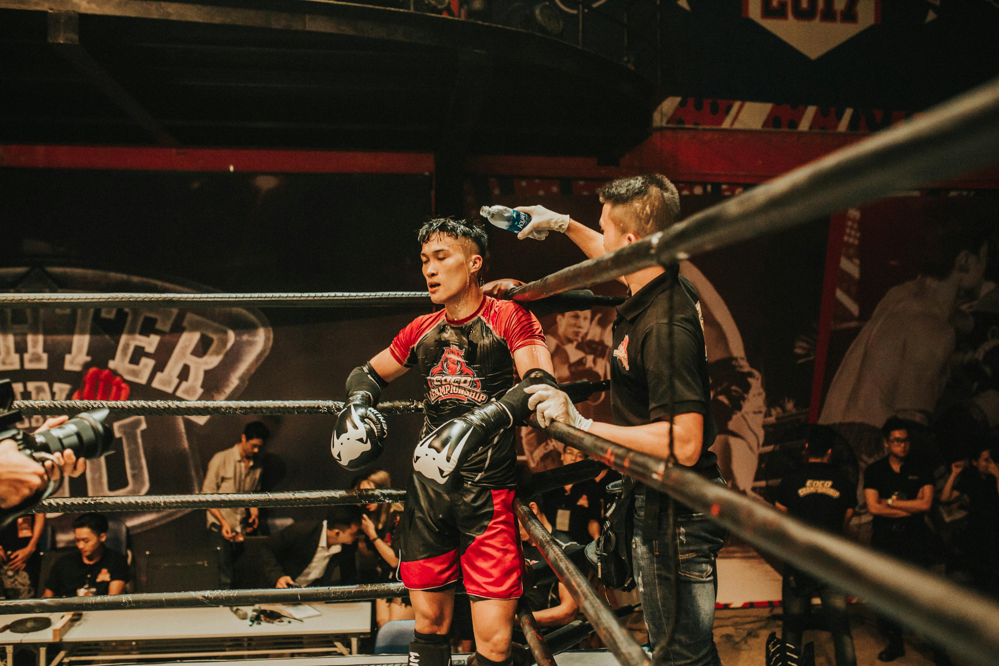 王牌戰(zhàn)爭全新版本，革命性的游戲體驗上線！