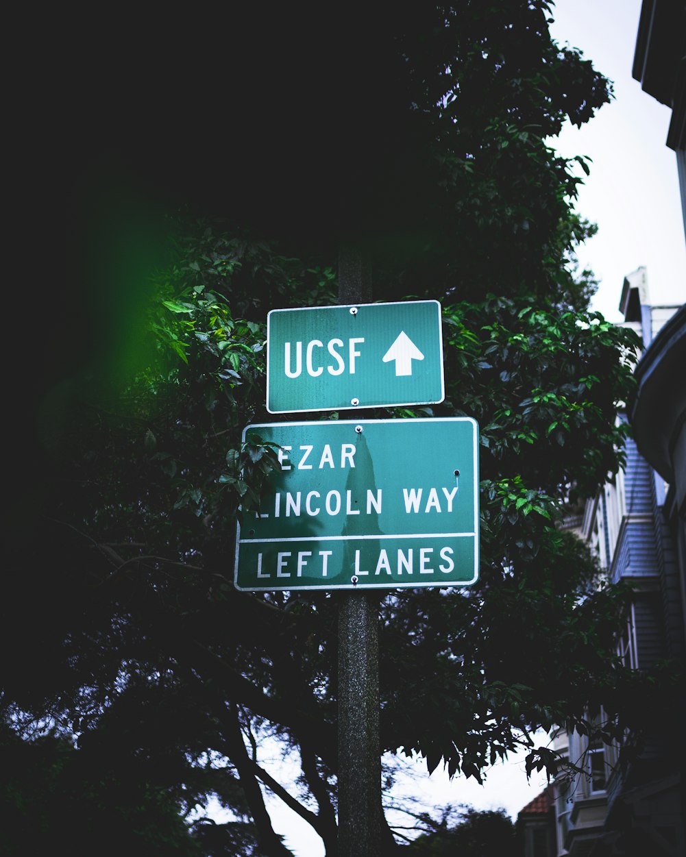 華大基因行情，探索生物科技新紀元之路