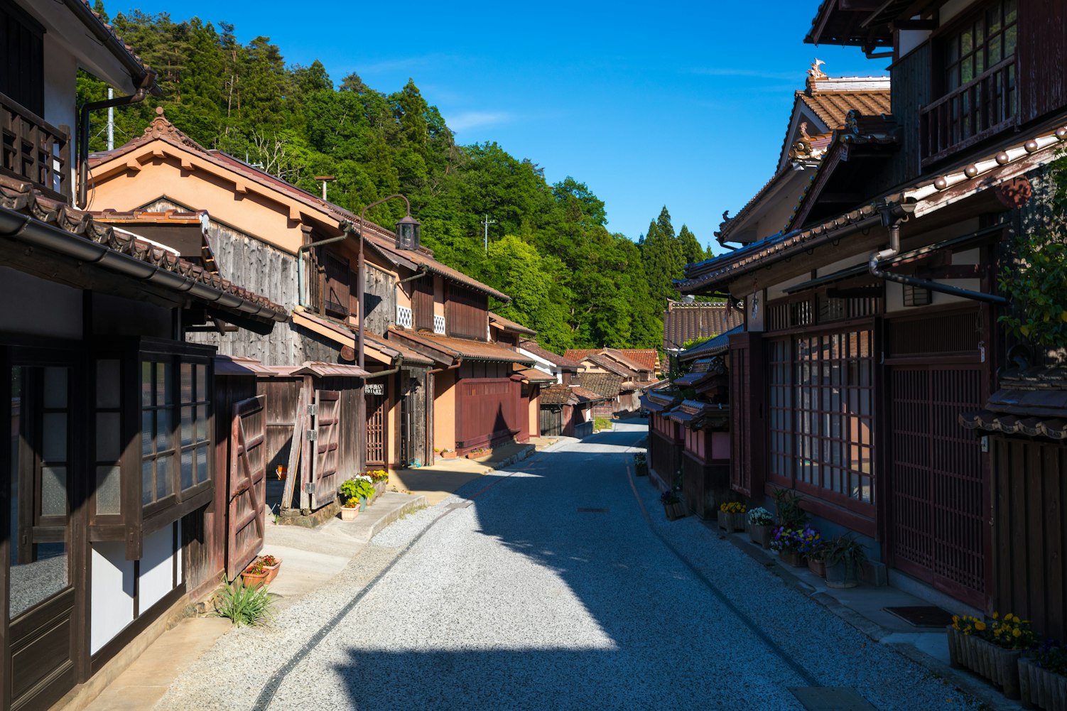 甘肅武威農(nóng)村最新影像揭示鄉(xiāng)村變遷與活力風采