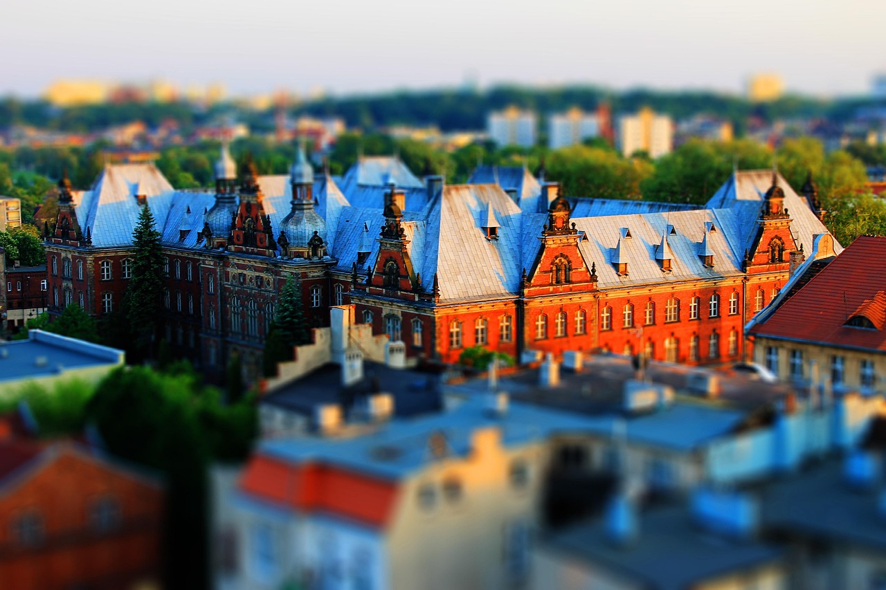 花旗參價格概覽及市場趨勢分析，價格表與市場動態(tài)解析