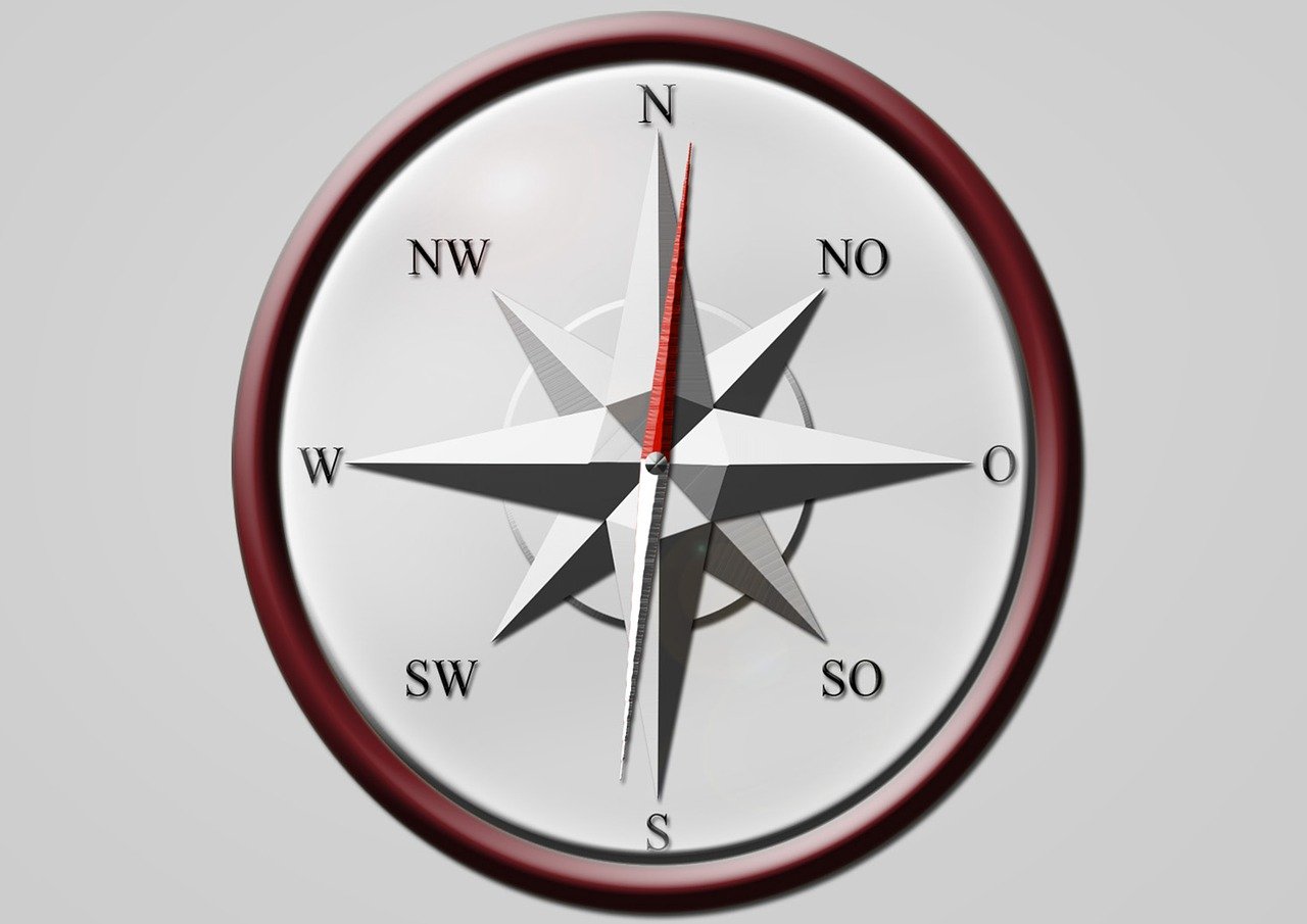 洛佩西最新動(dòng)態(tài)，展現(xiàn)時(shí)代潮流與多元風(fēng)采