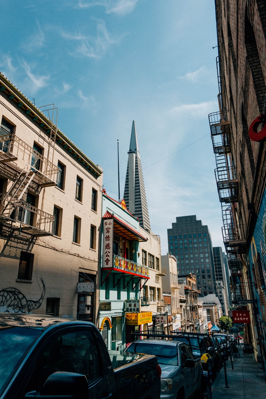 胖龍最新動(dòng)態(tài)，多元領(lǐng)域探索與全新風(fēng)貌展現(xiàn)