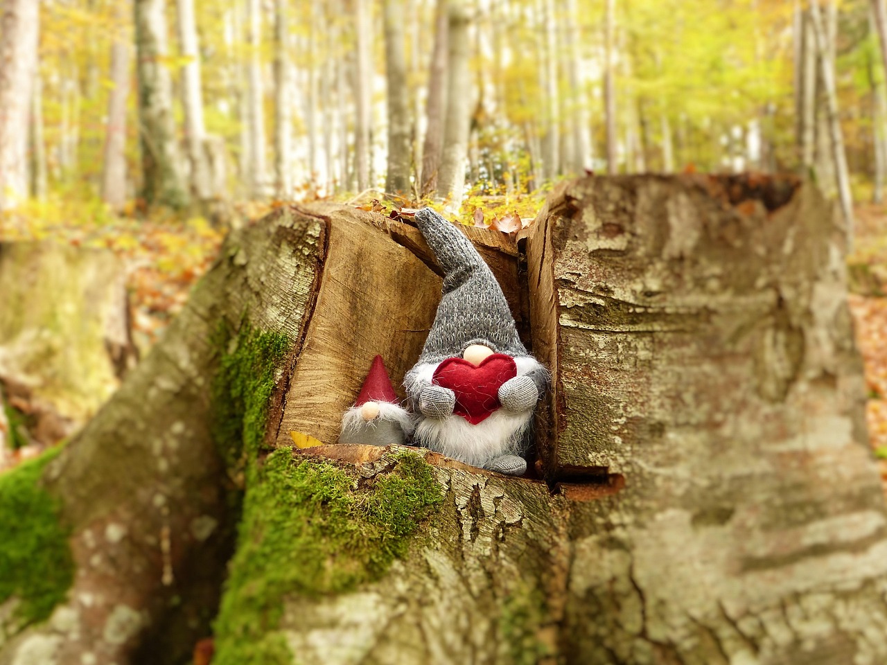 李保國電影，時(shí)代精神與感人故事的完美融合