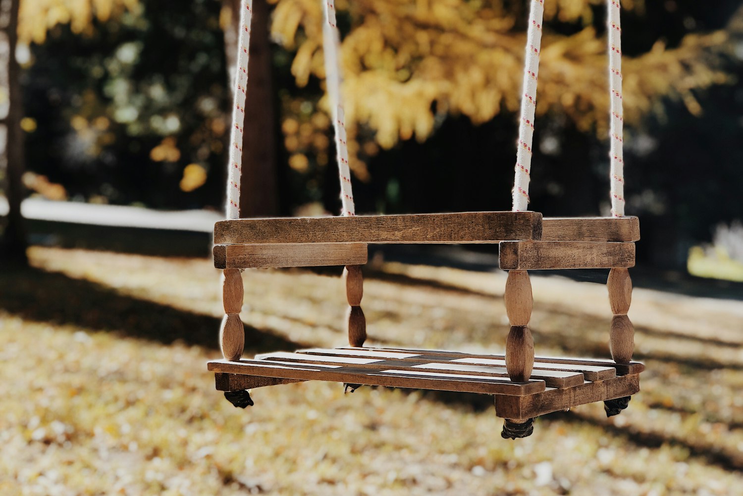 朗洞地區(qū)今日最新動態(tài)概覽