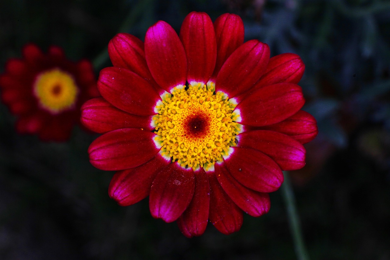 最新秒批資訊速遞，掌握時事動態(tài)，資訊更新無延遲