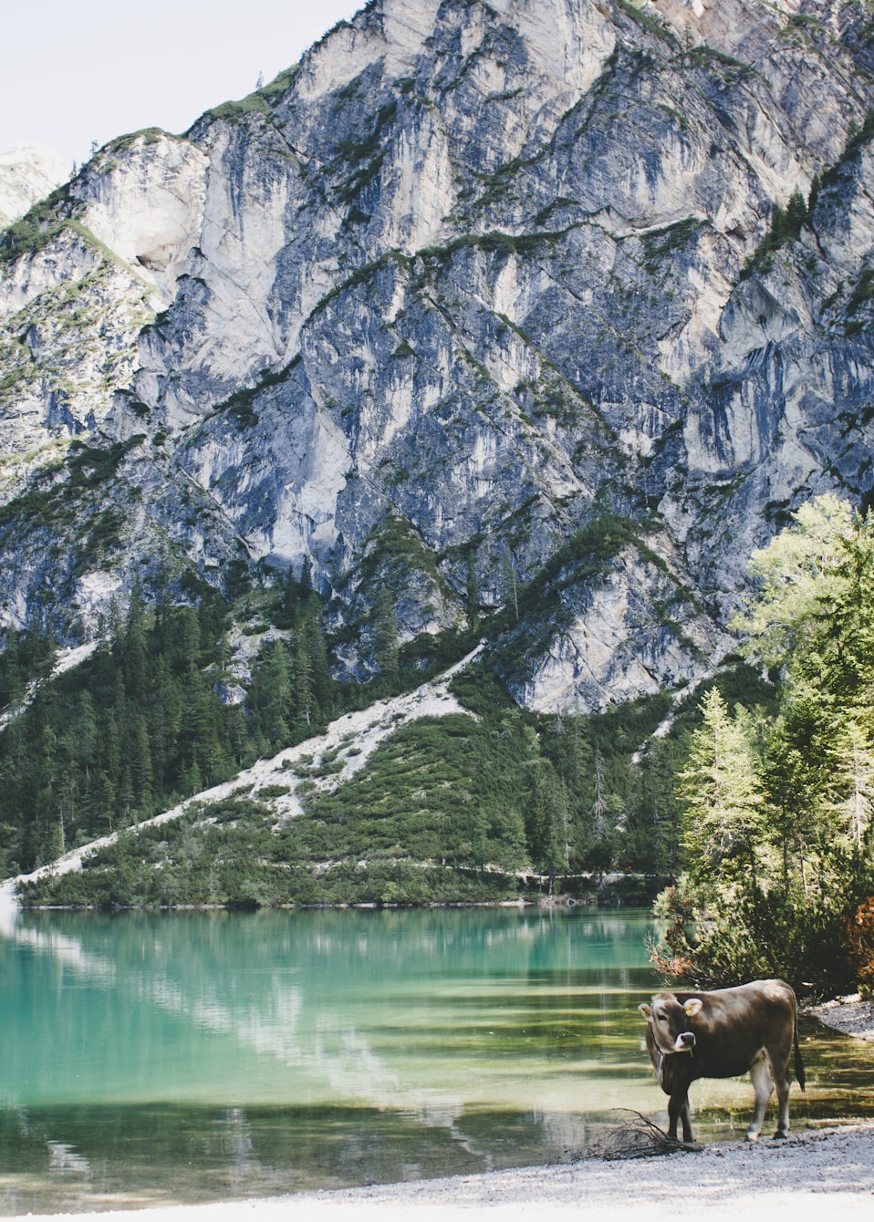 付申虎最新動態(tài)，探索前沿科技，引領(lǐng)未來潮流之趨勢