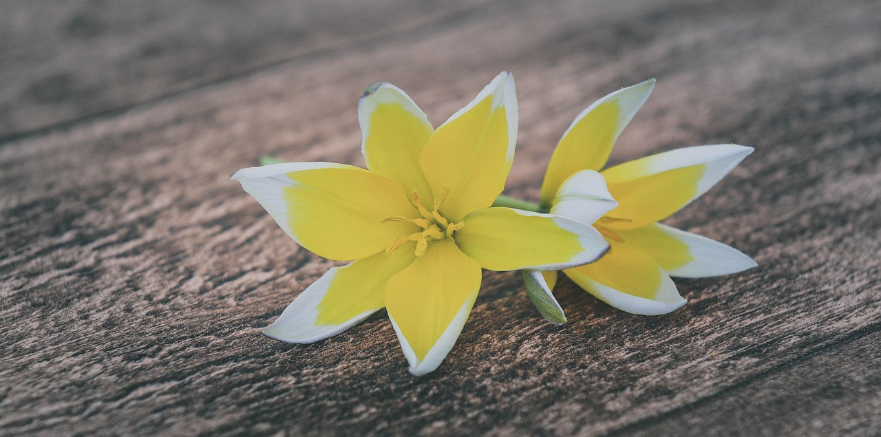 長樂最新資訊概覽，最新動態(tài)一網(wǎng)打盡