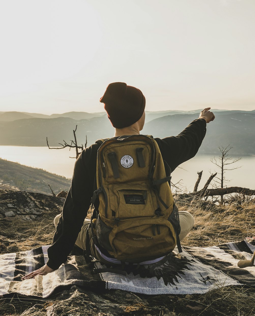 四環(huán)醫(yī)藥股價最新動態(tài)，市場走勢分析與前景展望