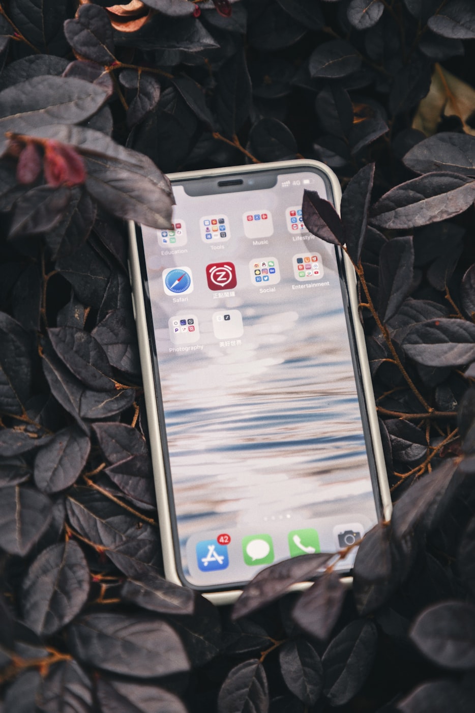 最新樂視手機(jī)款，科技與體驗(yàn)的新里程碑