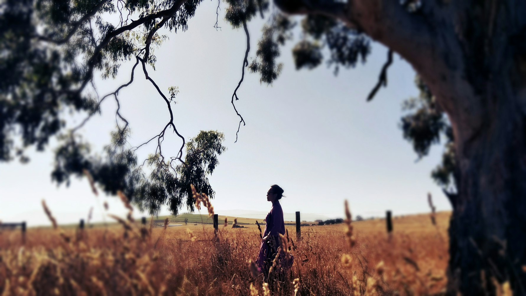 花宵道中電影，深度情感之旅的探索