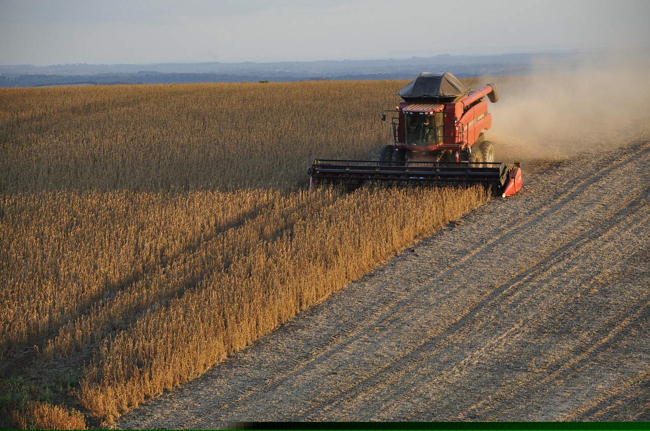 新時代步伐下的民族振興壯麗篇章——中華復(fù)興網(wǎng)快訊