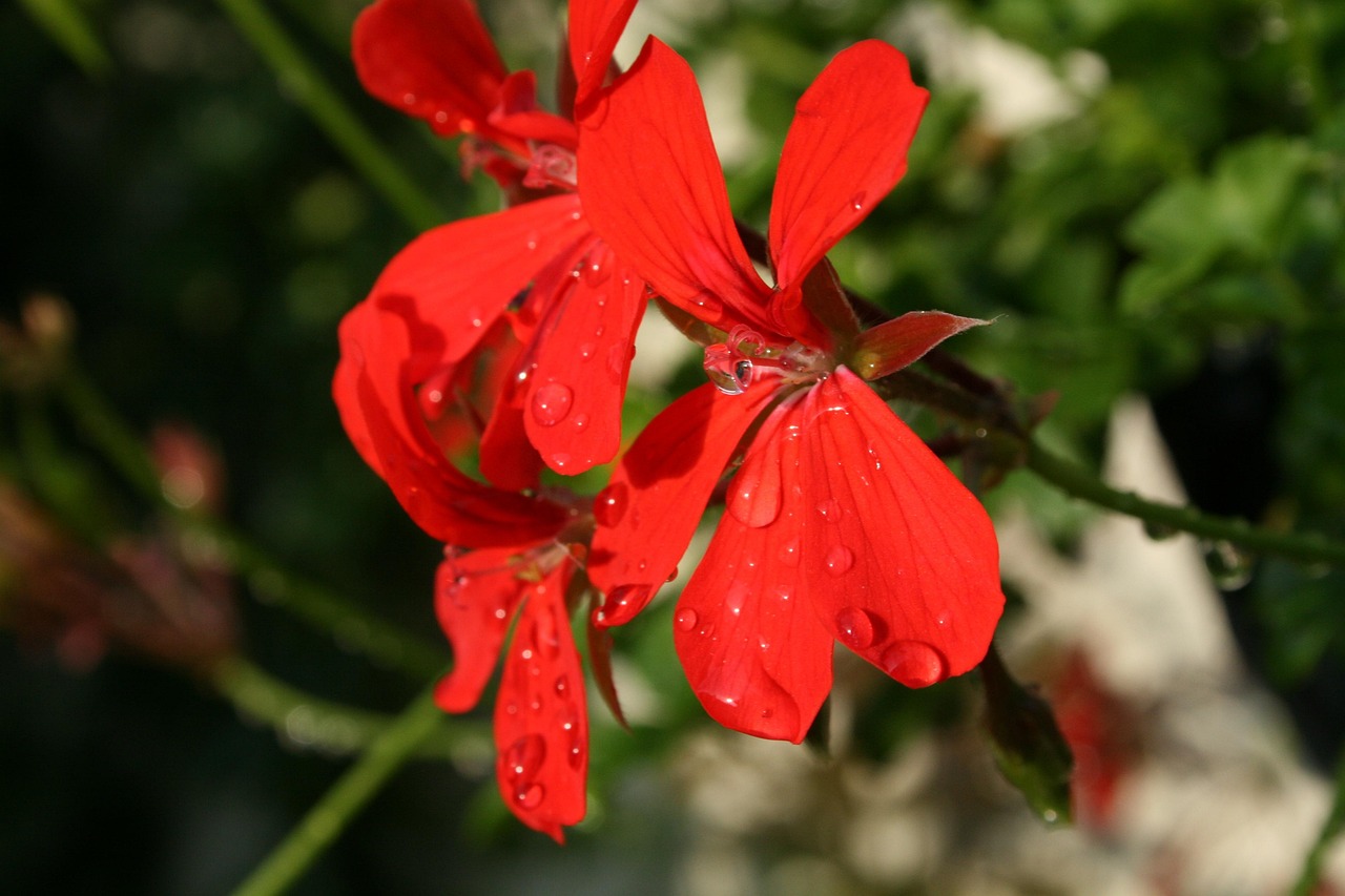 娜扎持續(xù)閃耀，最新動態(tài)引領(lǐng)時尚潮流