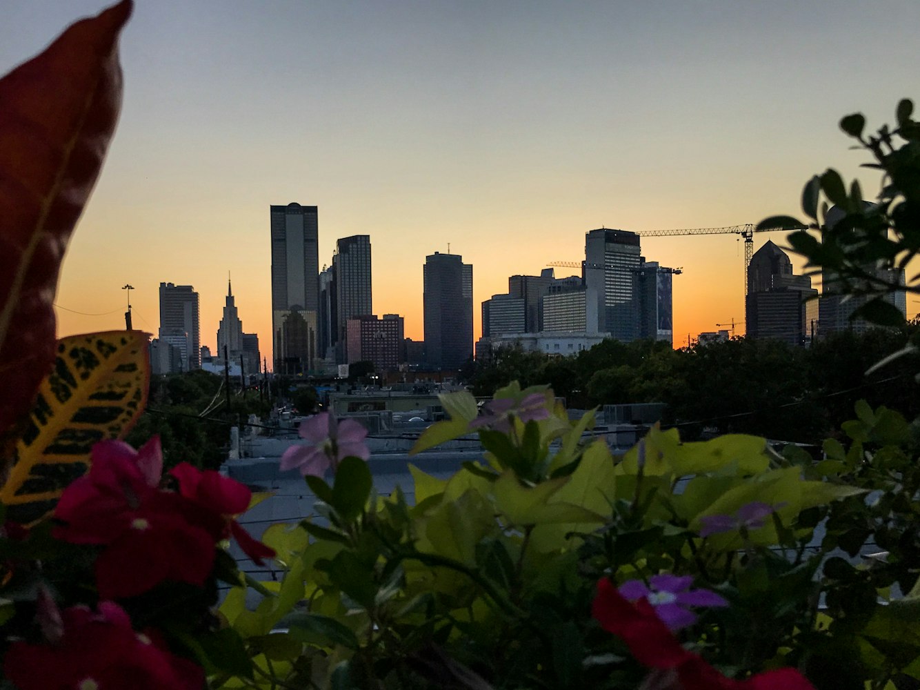 青山二期江灘實景展示，自然與城市的完美融合之道