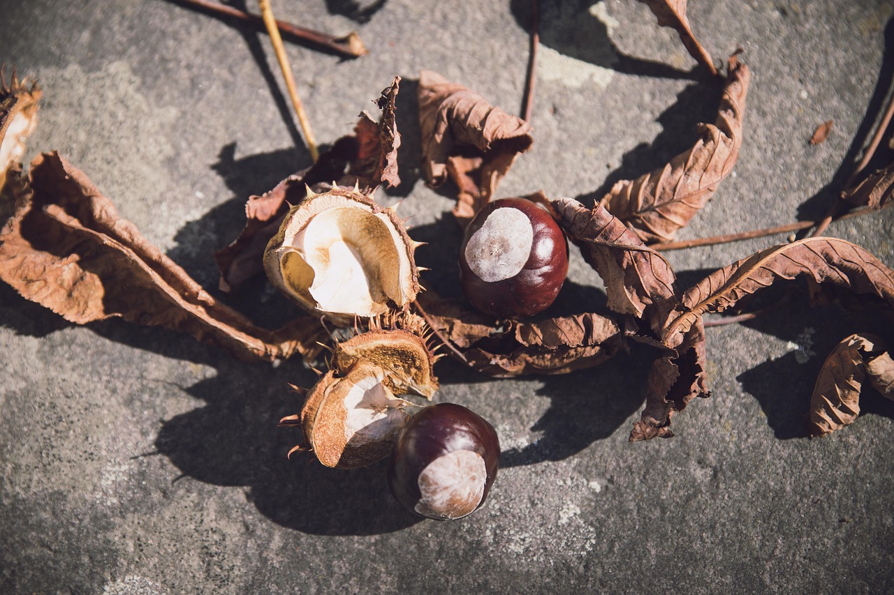 暮夏那年開 第2頁