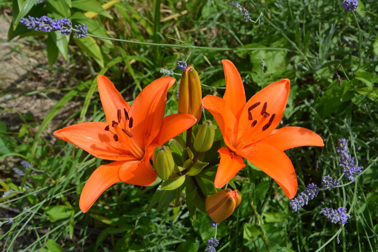 唐山豐潤(rùn)區(qū)繁榮發(fā)展最新動(dòng)態(tài)及未來(lái)展望