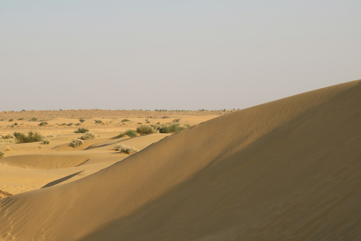 新銳影片佳作，探索電影藝術(shù)的無限魅力與創(chuàng)意邊界