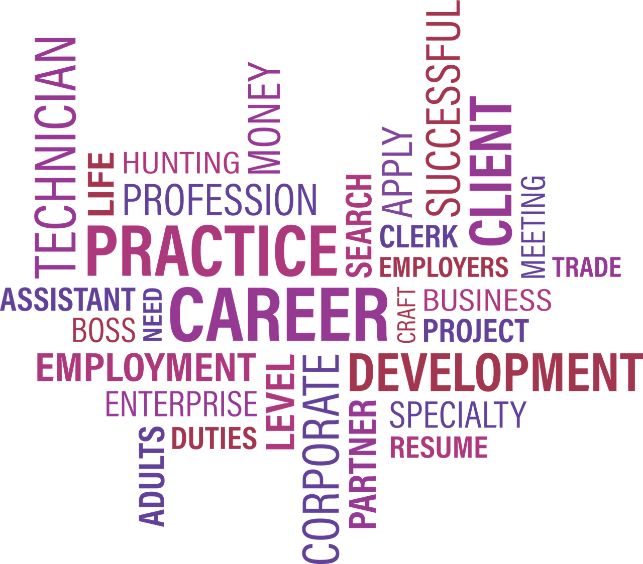 汝陽招聘信息概覽，職業(yè)發(fā)展的無限可能與機遇