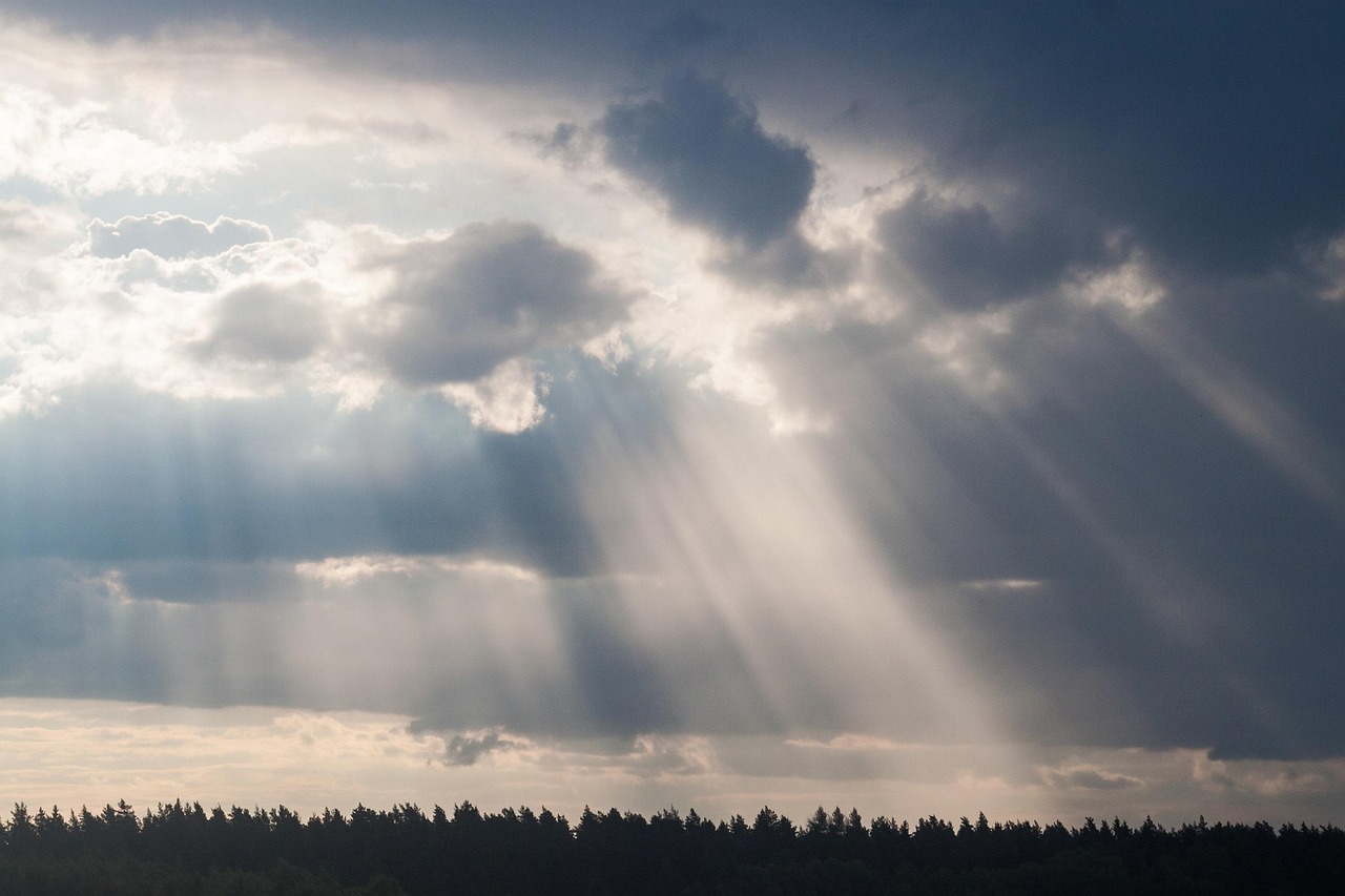 屬羊明星璀璨閃耀，星光熠熠的魅力無(wú)限