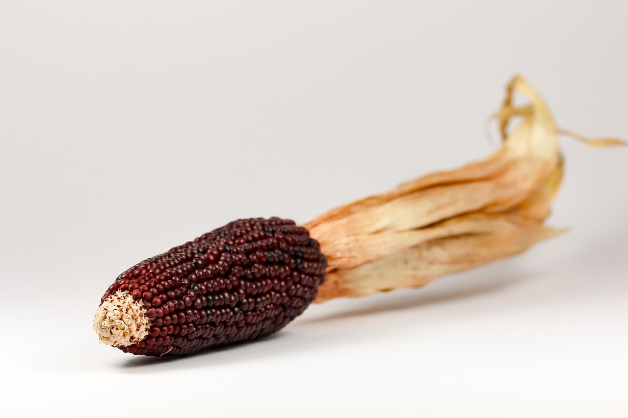 傳統(tǒng)與創(chuàng)新交融，新派鹵味精選的味蕾盛宴