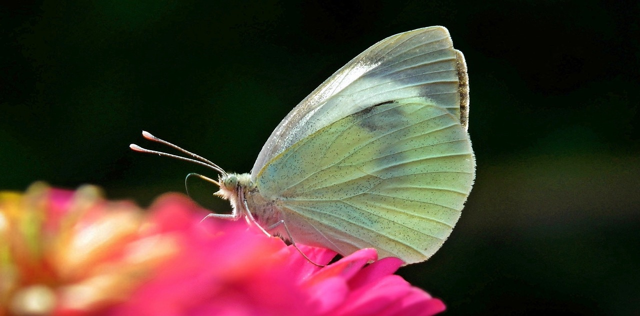 江蘇濱海最新資訊概覽，濱海動(dòng)態(tài)一網(wǎng)打盡