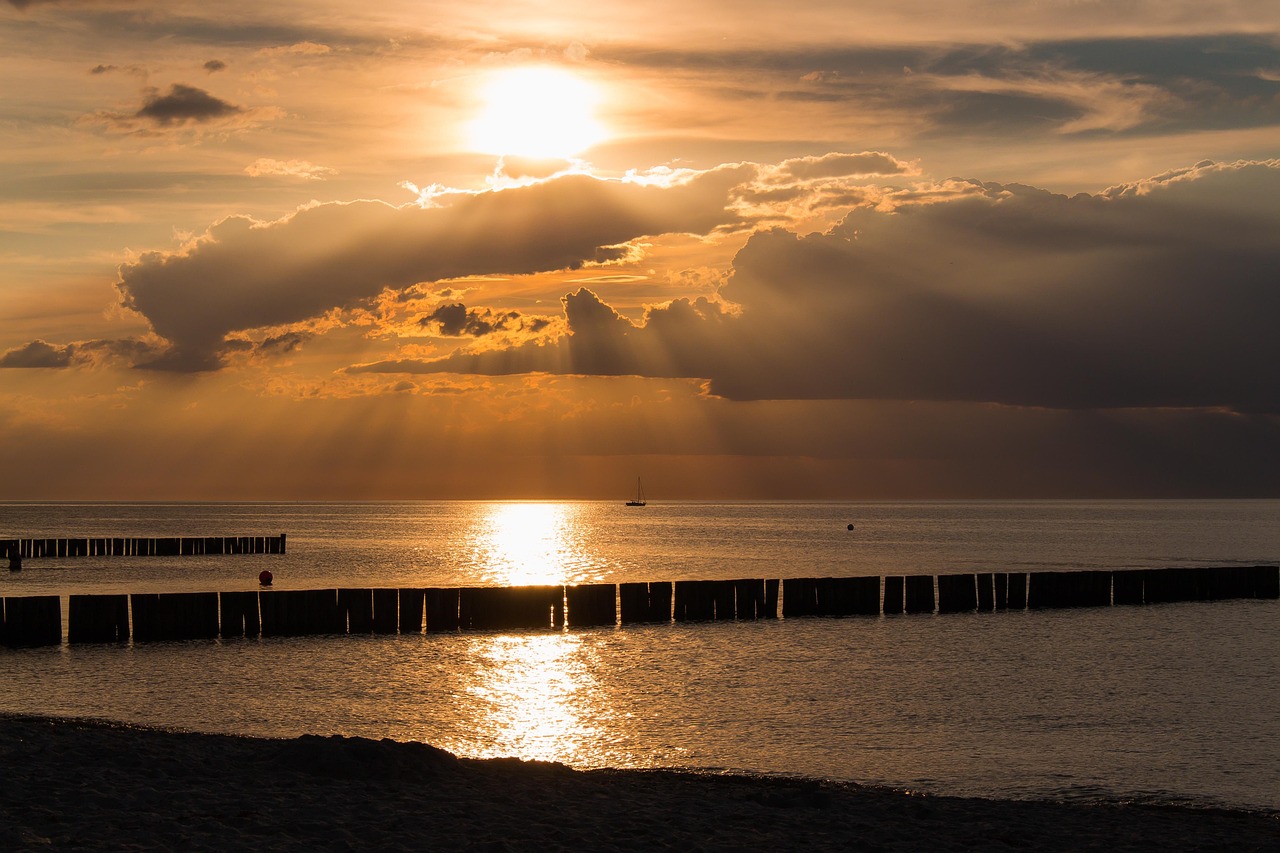 娛樂直播盛宴前瞻，最新動(dòng)態(tài)與前沿直播預(yù)告一網(wǎng)打盡