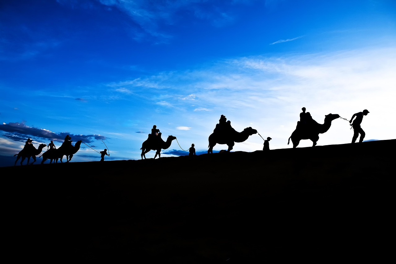 探索2017年度熱門廣場舞的魅力，舞動新時代