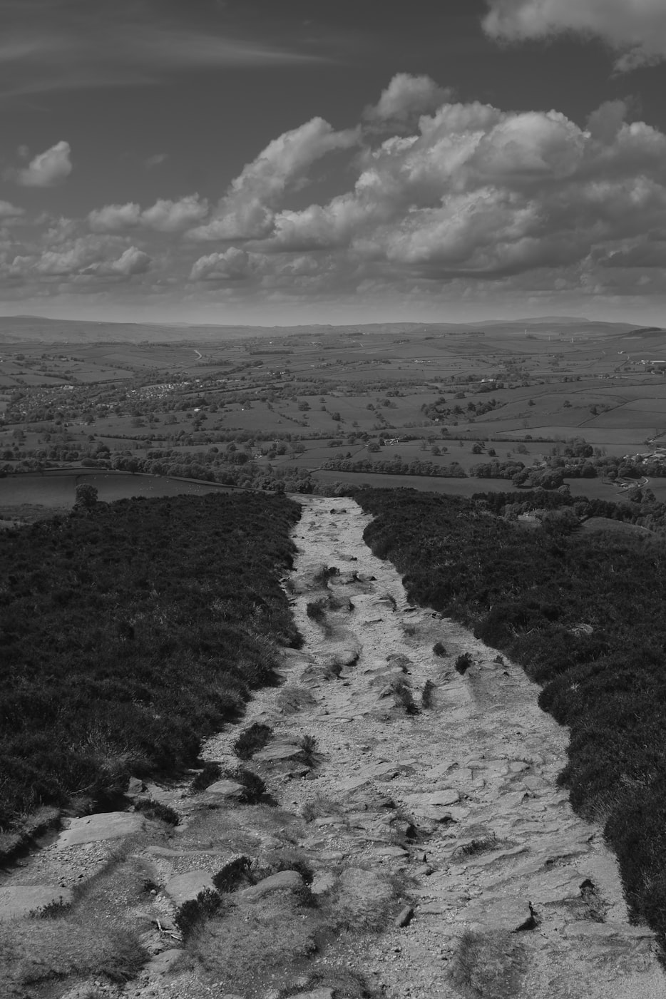 淘寶最新動(dòng)態(tài)引領(lǐng)電商新潮流重塑購(gòu)物體驗(yàn)