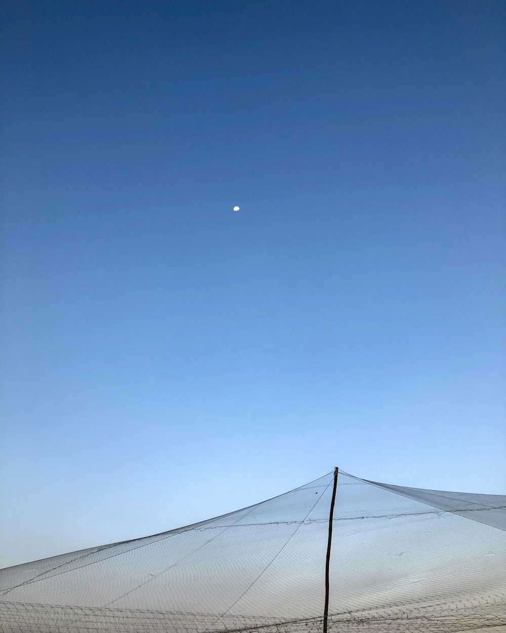 石牌疫情最新動態(tài)，全面應(yīng)對，共筑防線