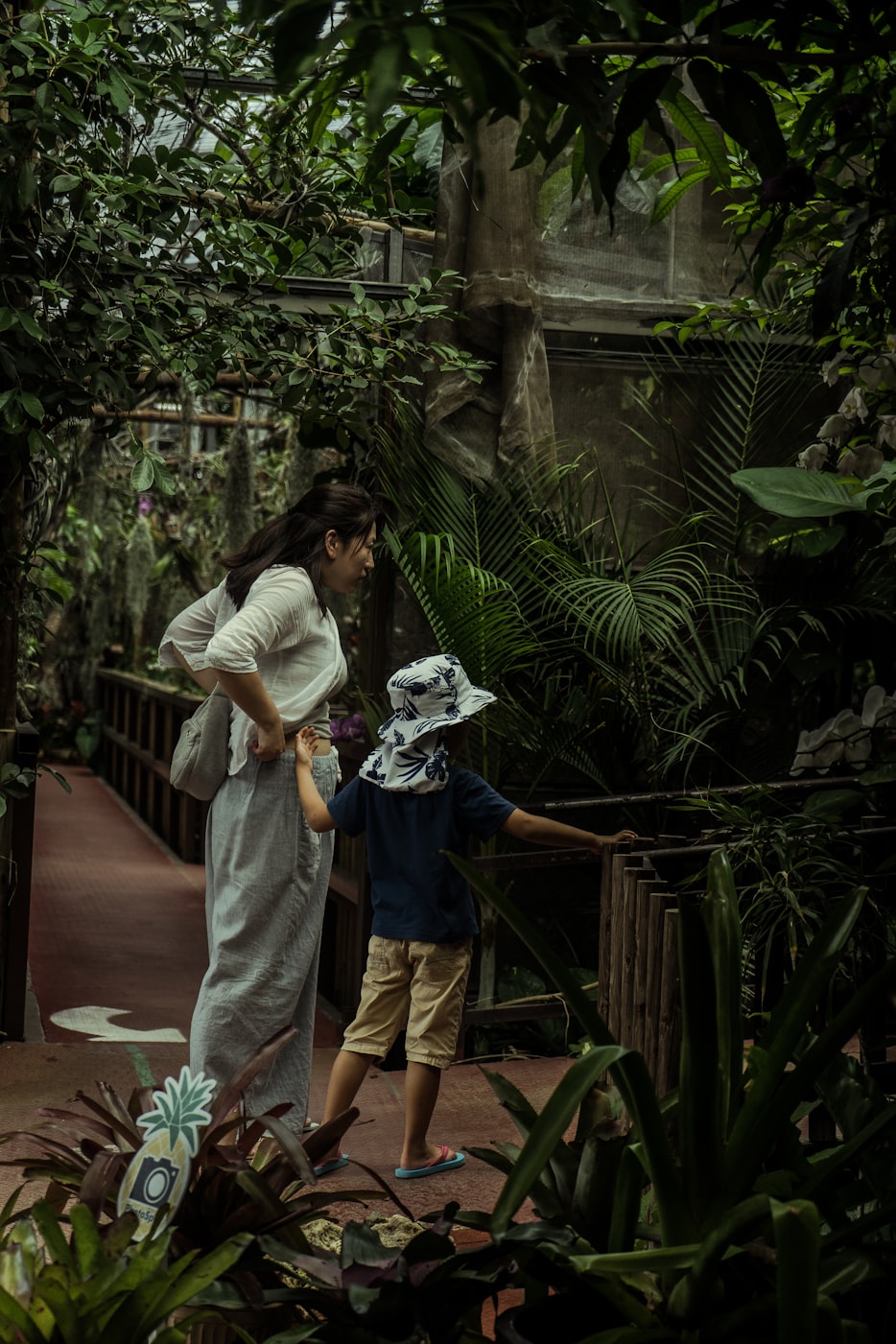 表妹與倫理電影的交織情感探索，倫理邊界的挑戰(zhàn)與情感糾葛