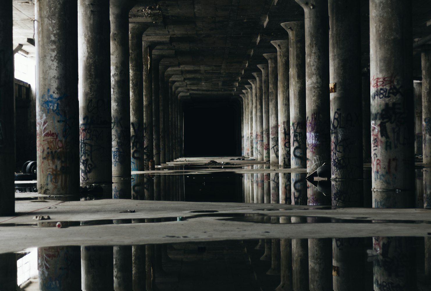 倩倩新動態(tài)，探索無限可能的旅程