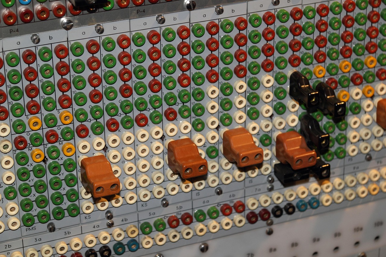 未來(lái)石龜市場(chǎng)行情深度分析與展望