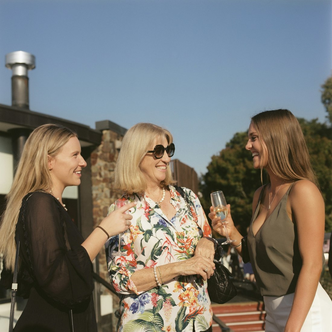 鼎演員，演藝之路的閃耀之星